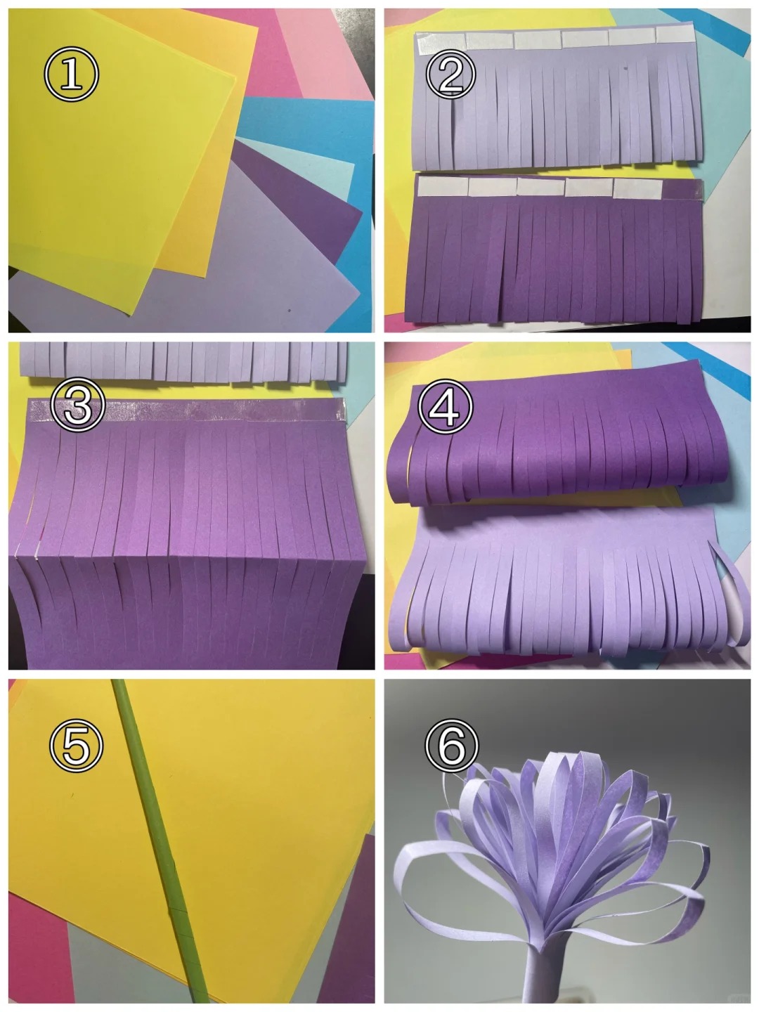 paper plowder (1).jpg