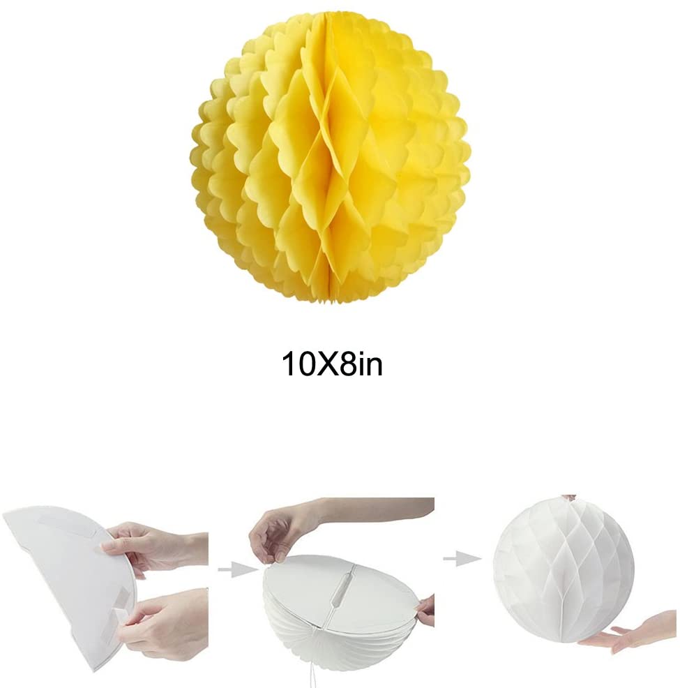 Tissue Pom Pom.jpg