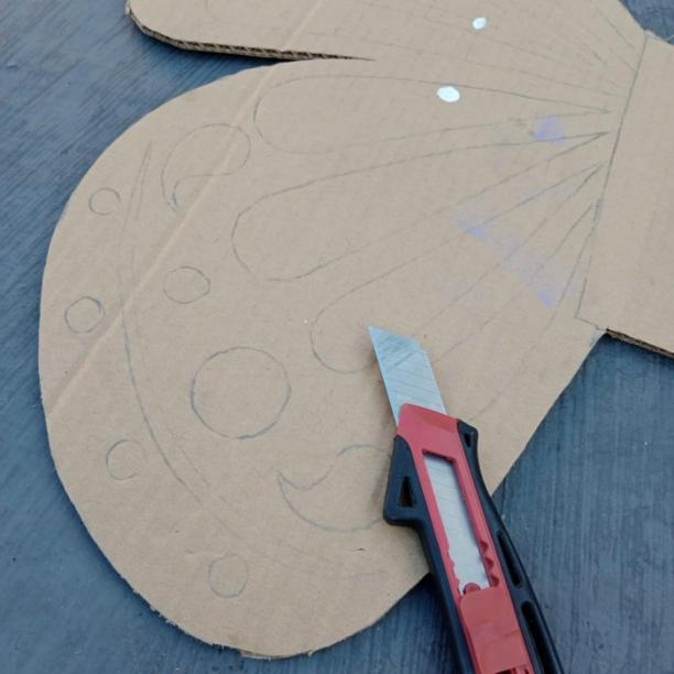 Cardboards and Cellophane Papers16.png