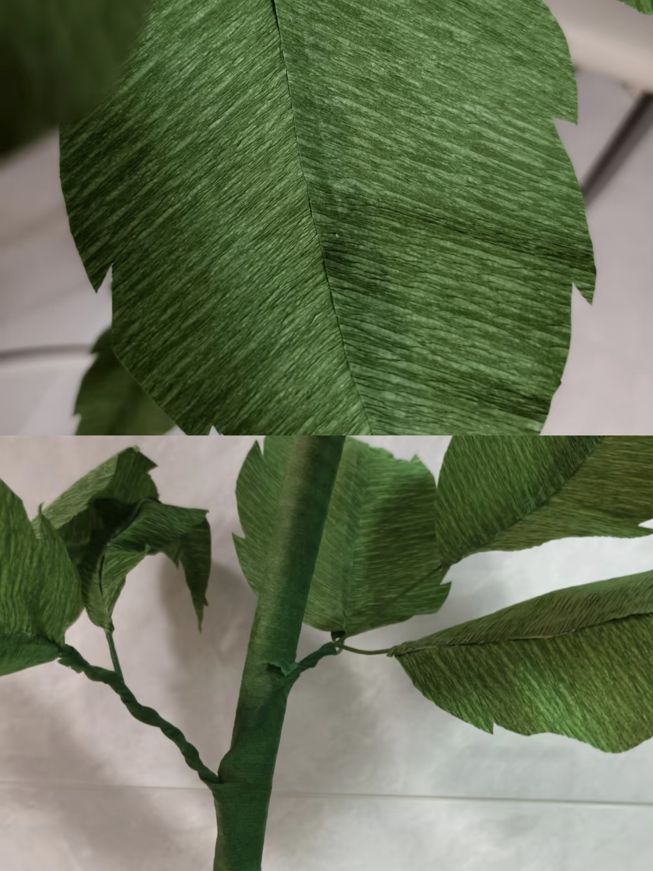 花5.jpg